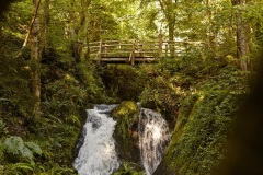 1004_Foto-Rausch-Marco-Rothbrust
