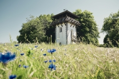Der Römerturm in Kaisersesch erhebt sich am Rand einer Wiese mit blauen Kornblumen und hohem Gras. Der historische Aussichtsturm mit weißer Fassade und umlaufendem Holzbalkon ist von dichtem Grün umgeben und steht unter einem sonnigen, wolkenlosen Himmel.