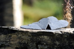 CGF_0582