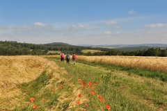 Wandern-im-Schieferland-Kaisersesch-Christoph-Gerhartz