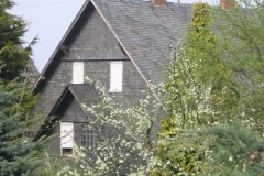 hausmosgross