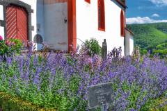 Kraeutergarten-Johanniskirche_CR-Willi-Probstfeld