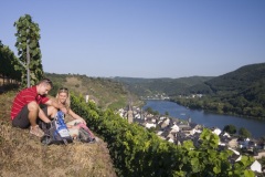Hatzernporter_Laysteig_Weinberge2015