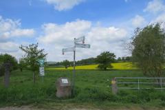 K1600__1-Vulkanpark-Radweg-Thuerer-Wiesen-IMG_9053