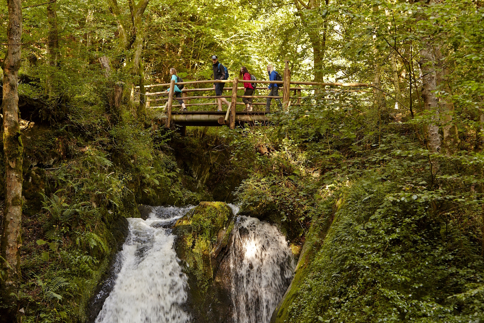 Vier Personen mit Wanderausrüstung gehen über eine Brücke, die über einen Wasserfall verläuft. An den Seiten sieht man Hänge, die mit Bäumen und Büschen bewachsen sind.
