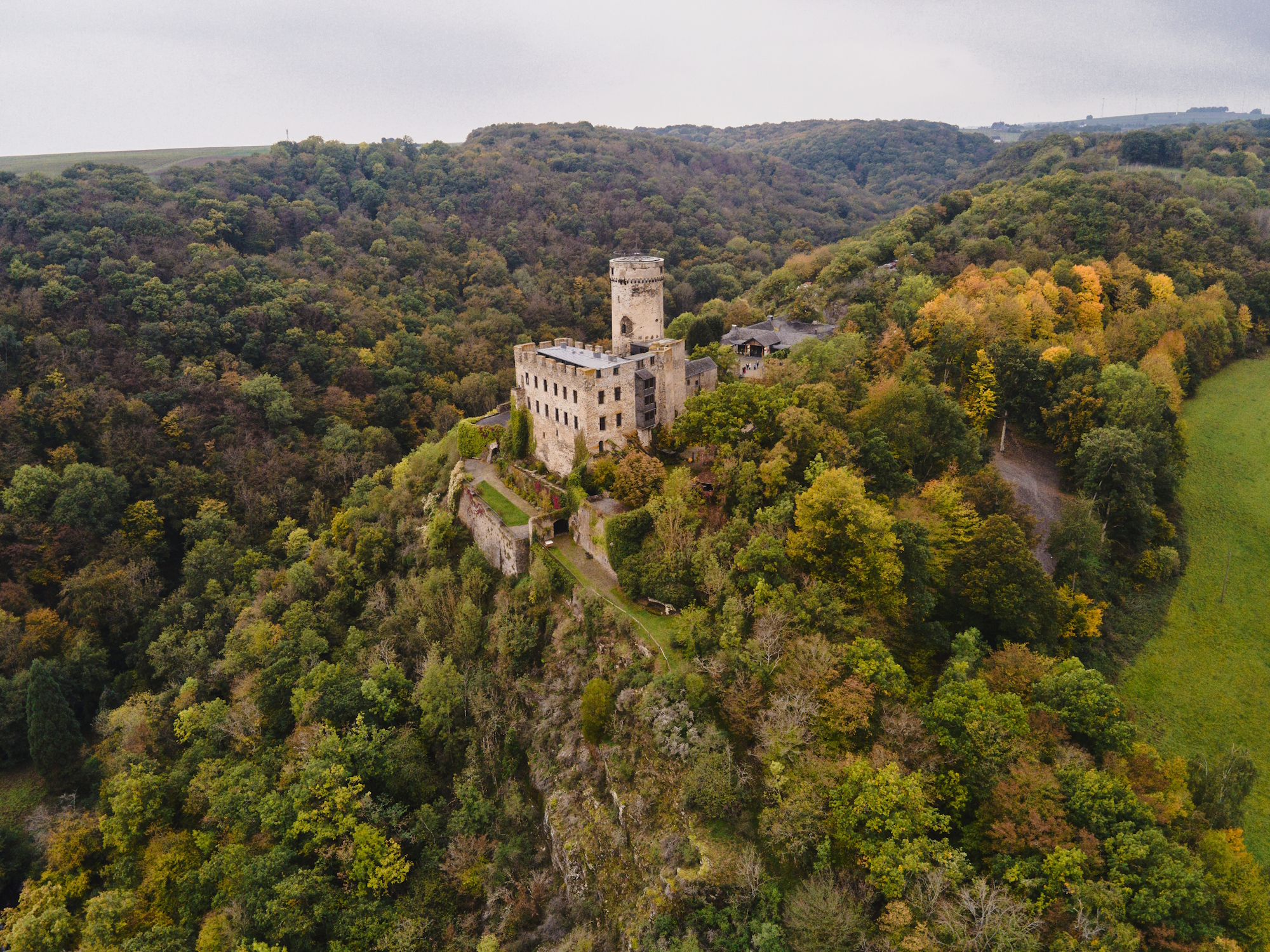Aus der Vogelperspektive fotografiert: Die mittelalterliche Burg Pyrmont mit einem markanten runden Turm thront auf einem bewaldeten Felshügel inmitten eines dichten Tals mit herbstlichen Bäumen.Aus der Vogelperspektive fotografiert: Die mittelalterliche Burg Pyrmont mit einem markanten runden Turm thront auf einem bewaldeten Felshügel inmitten des Elzbachtals mit herbstlichen Bäumen.