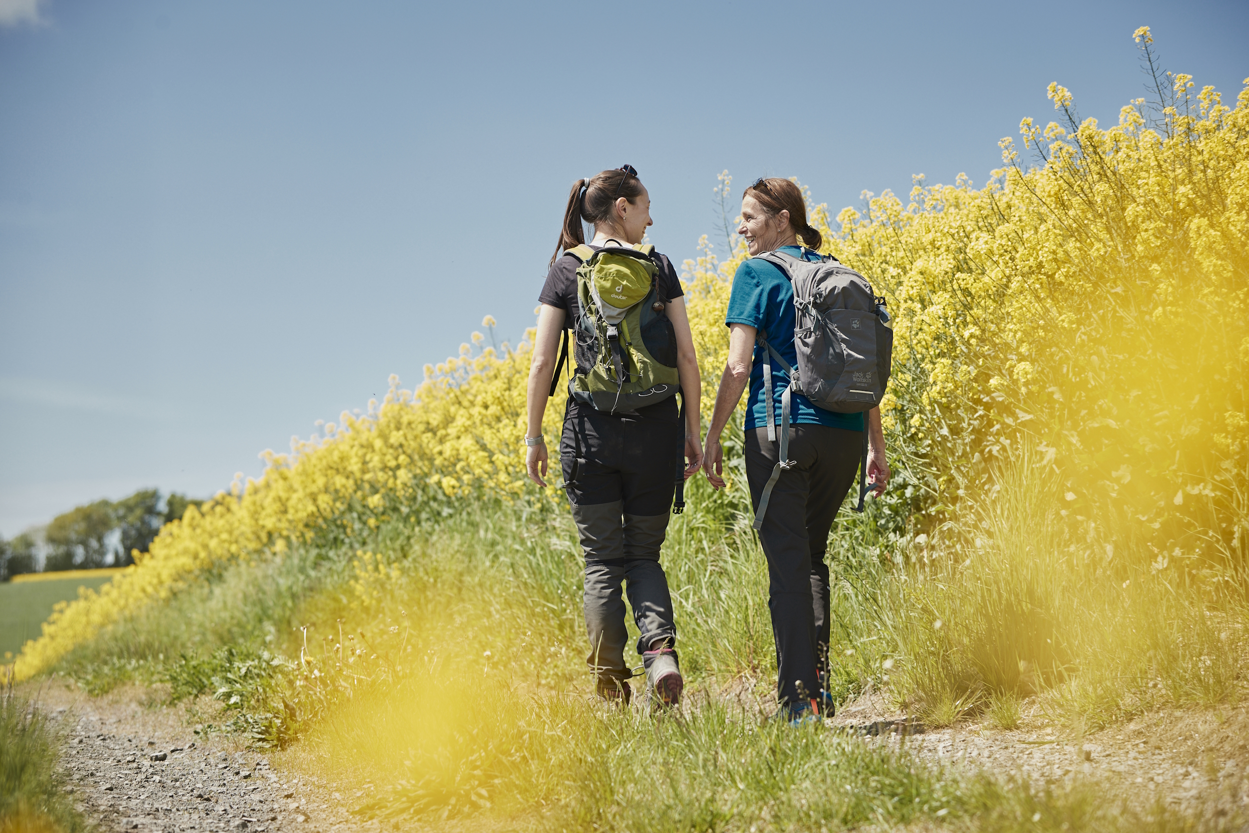 Zwei Frauen mit Wanderrucksäcken gehen auf einem Feldweg durch eine blühende Rapslandschaft. Sie blicken sich lächelnd an, während sie an leuchtend gelben Rapsfeldern unter blauem Himmel entlangwandern.