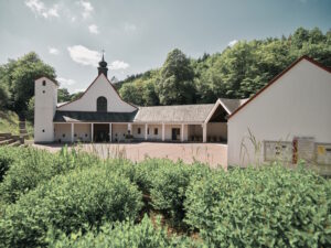 Weiße Wallfahrtskirche mit Glockenturm und überdachtem Innenhof vor einem bewaldeten Hang. Im Vordergrund liegt eine grüne Wiese.